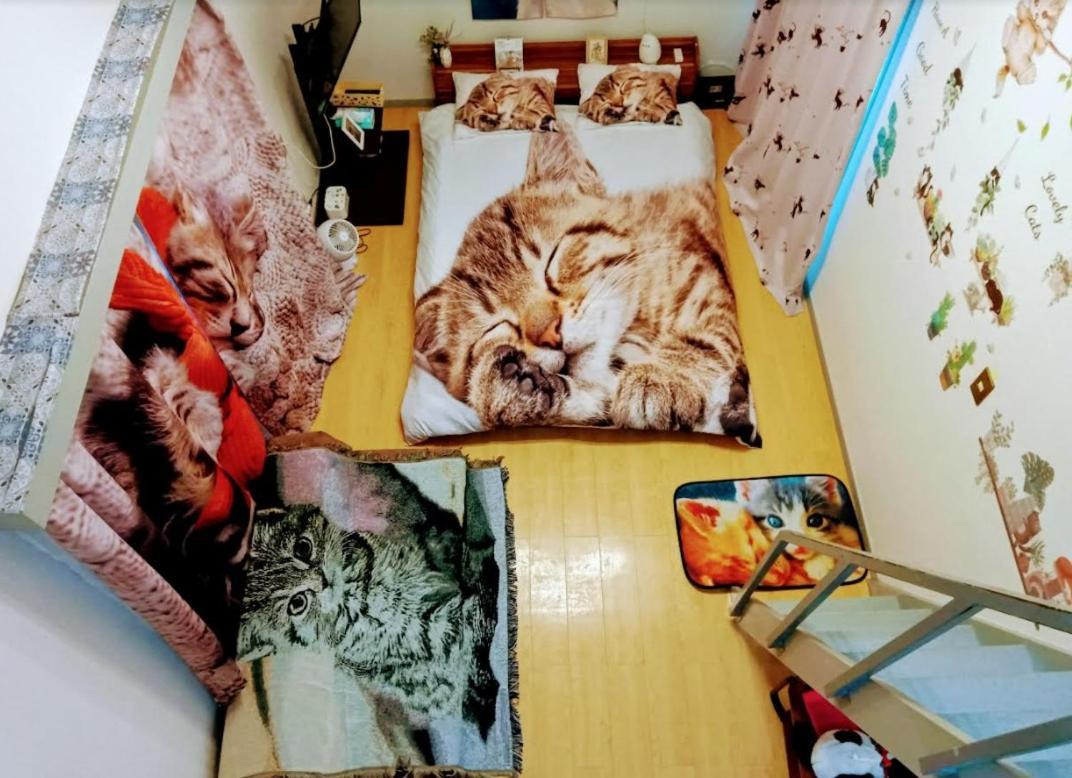 Tokyo Shibuya Shinjyuku Cat House ! Daire Dış mekan fotoğraf