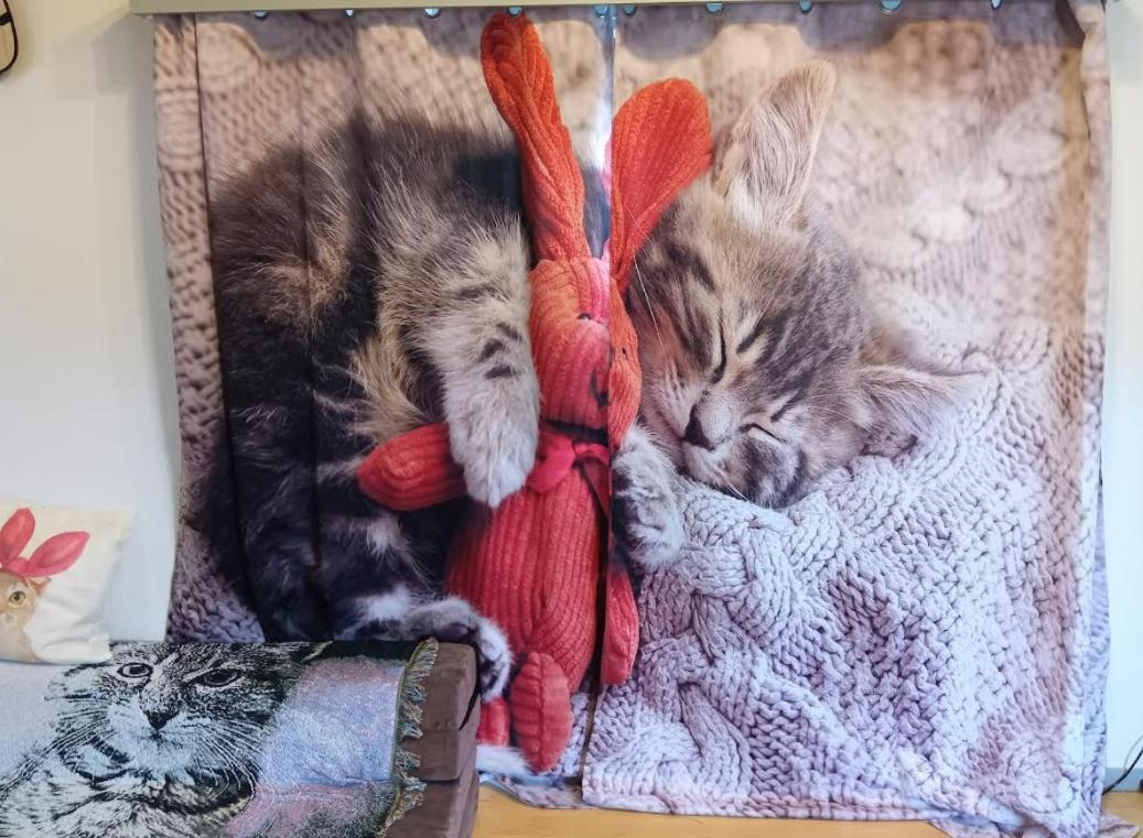 Tokyo Shibuya Shinjyuku Cat House ! Daire Dış mekan fotoğraf