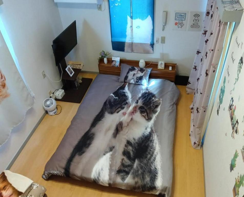 Tokyo Shibuya Shinjyuku Cat House ! Daire Dış mekan fotoğraf