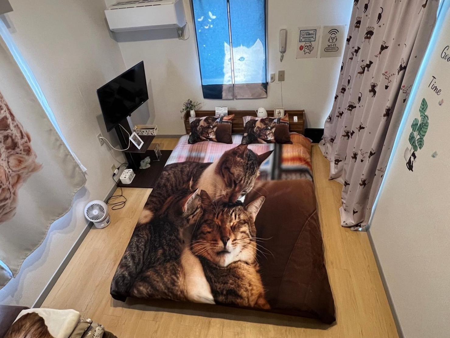 Tokyo Shibuya Shinjyuku Cat House ! Daire Dış mekan fotoğraf