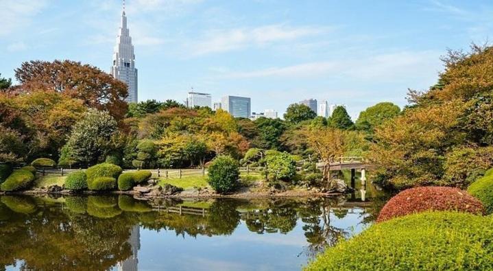 Tokyo Shibuya Shinjyuku Cat House ! Daire Dış mekan fotoğraf