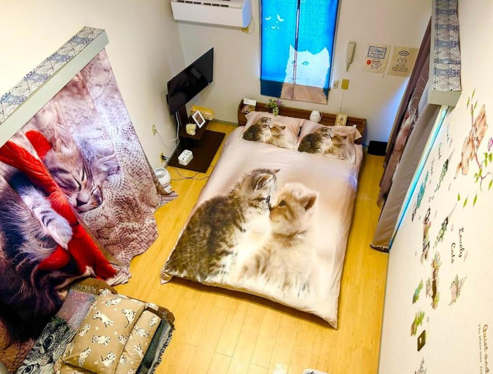 Tokyo Shibuya Shinjyuku Cat House ! Daire Dış mekan fotoğraf