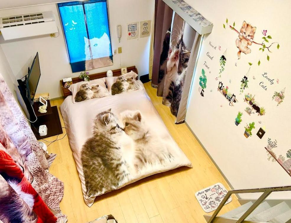 Tokyo Shibuya Shinjyuku Cat House ! Daire Dış mekan fotoğraf